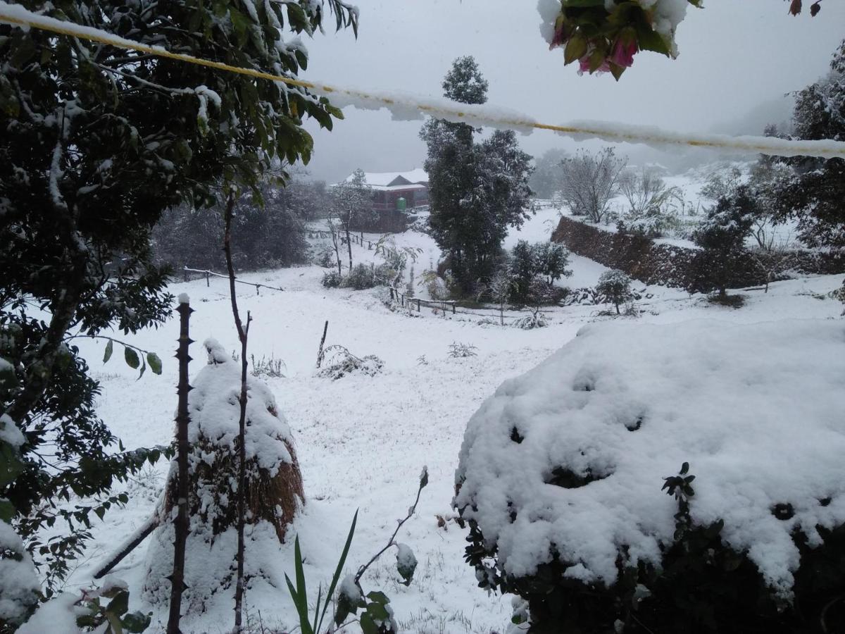 Maa Anand Mayee Guest House Panuānaula Buitenkant foto